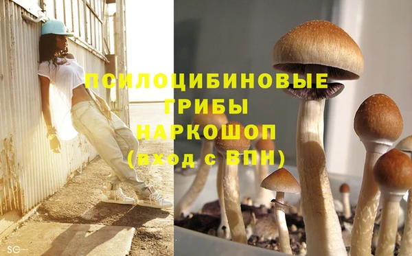 экстази Арсеньев