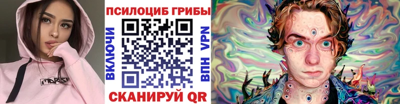 Галлюциногенные грибы GOLDEN TEACHER  hydra ССЫЛКА  Олонец  магазин  наркотиков 